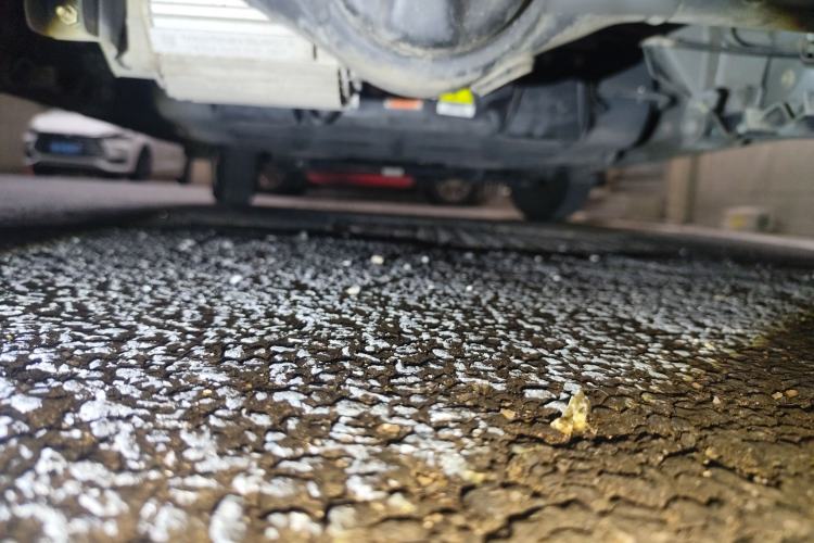 Used Dongfeng Fengon MINIEV 2022 Candy-Style Lollipop Chassis Rear