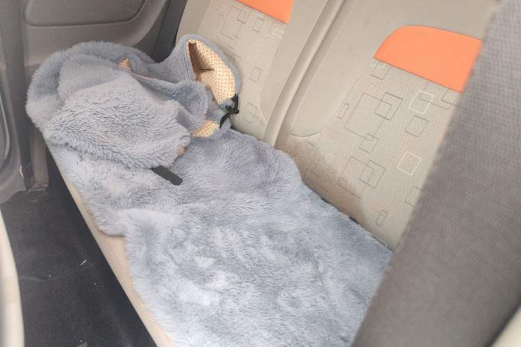 Used Dongfeng Fengon MINIEV 2022 Simple Style Comfort Version Interior 4