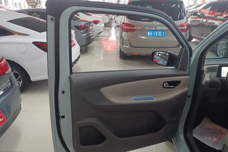 Used Dongfeng Fengon MINIEV 2022 Simple Style Comfort Version Left Front Door Interior