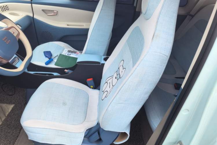 Used Dongfeng Fengon MINIEV 2022 Shishi Style Luxury Version Left Front Seat