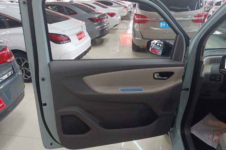 Used Dongfeng Fengon MINIEV 2022 Simple Style Comfort Version Left Rear Door Interior