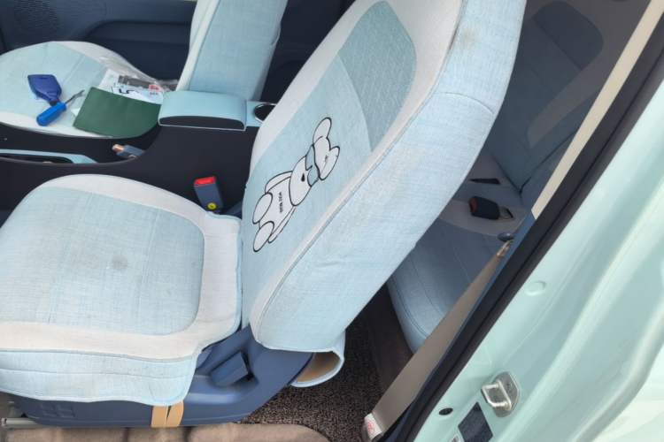 Used Dongfeng Fengon MINIEV 2022 Shishi Style Luxury Version Left Rear Seat