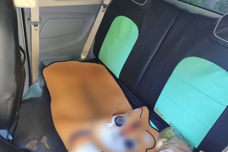 Used Dongfeng Fengon MINIEV 2022 Candy Edition Half-Sugar Left Rear Seat