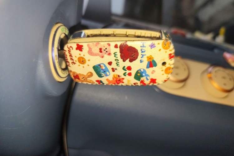 Used Dongfeng Fengon MINIEV 2022 Candy-Style Lollipop Vehicle Key