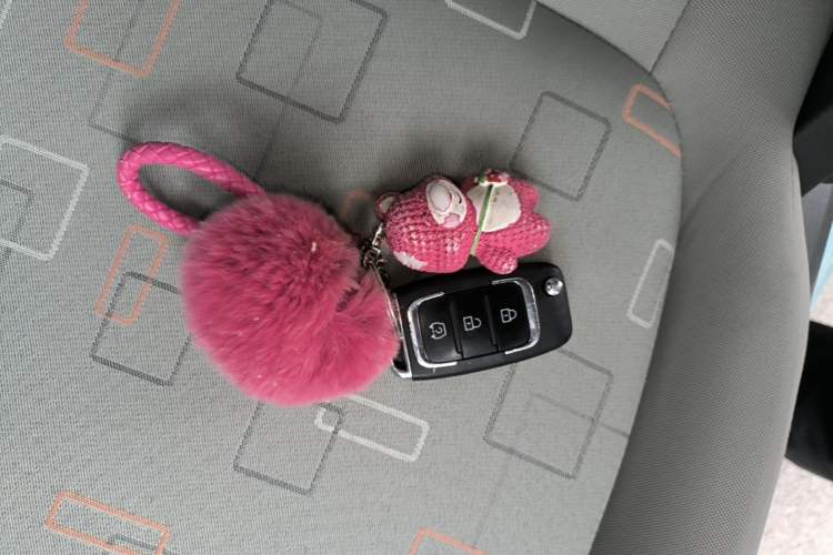 Used Dongfeng Fengon MINIEV 2022 Shishi Style Practical Version Vehicle Key