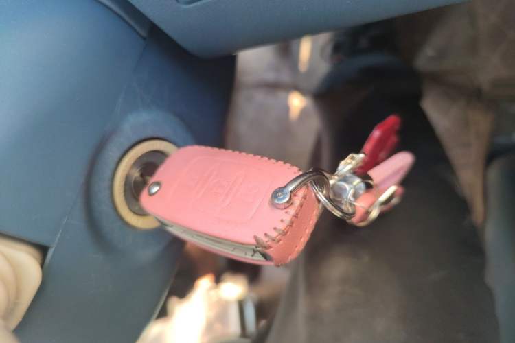 Used Dongfeng Fengon MINIEV 2022 Candy-Style Lollipop Vehicle Key