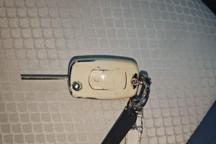 Used Dongfeng Fengon MINIEV 2022 Candy-Style Lollipop Vehicle Key