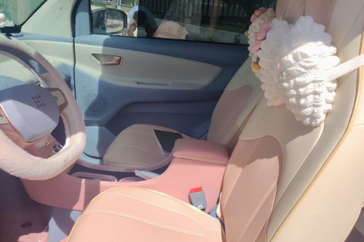 Used Dongfeng Fengon MINIEV 2022 Candy Edition Lightly Sweeted Left Front Seat