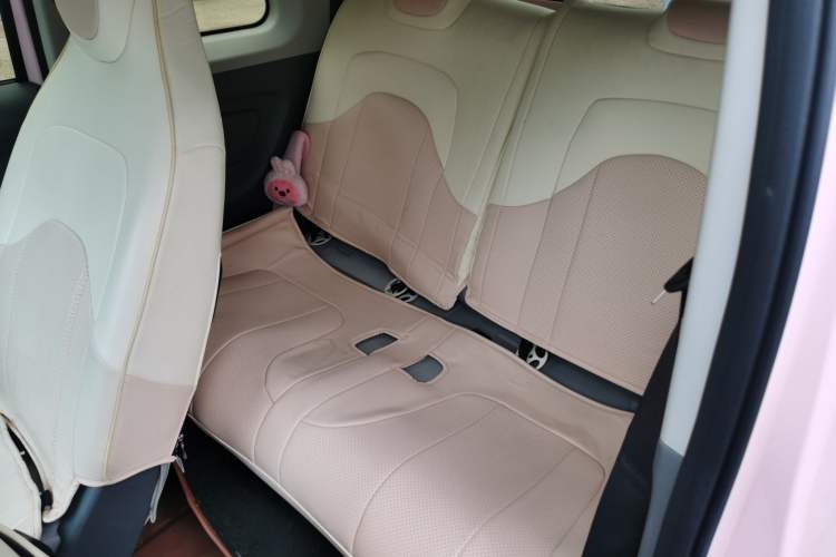 Used Dongfeng Fengon MINIEV 2022 Shishi Style Luxury Version Left Rear Seat