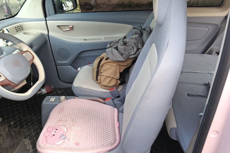Used Dongfeng Fengon MINIEV 2022 Shishi Style Luxury Version Left Rear Seat