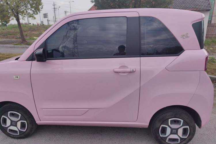 Used Dongfeng Fengon MINIEV 2022 Shishi Style Luxury Version Exterior 2
