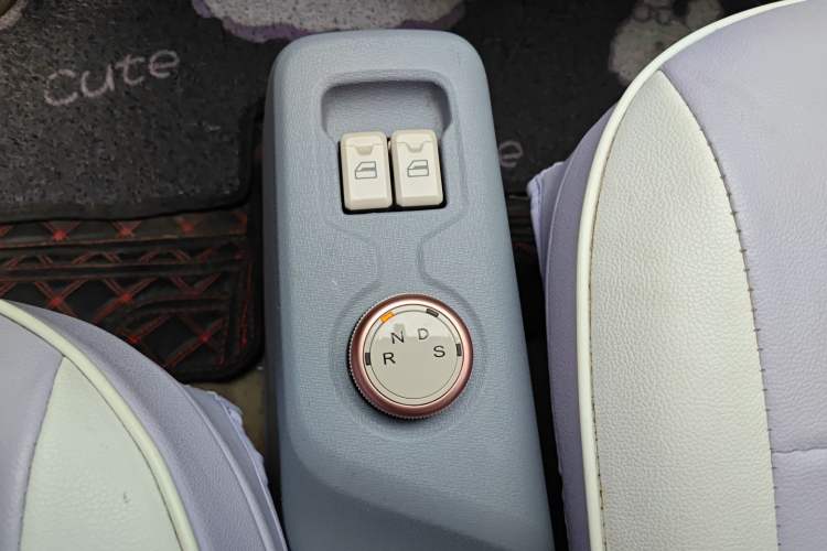 Used Dongfeng Fengon MINIEV 2022 Shishi Style Luxury Version Gear Lever