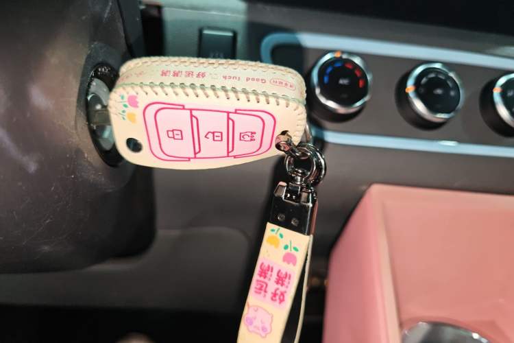 Used Dongfeng Fengon MINIEV 2022 Shishi Style Luxury Version Interior 1