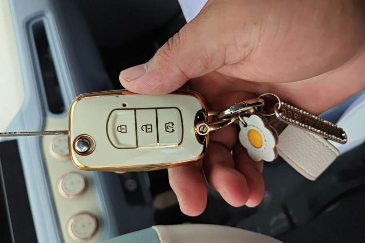 Used Dongfeng Fengon MINIEV 2022 Shishi Style Luxury Version Vehicle Key