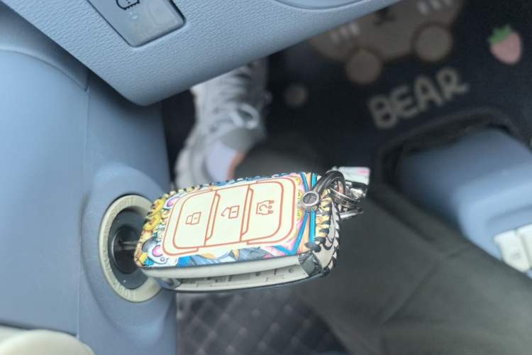 Used Dongfeng Fengon MINIEV 2022 Candy-Style Lollipop Vehicle Key