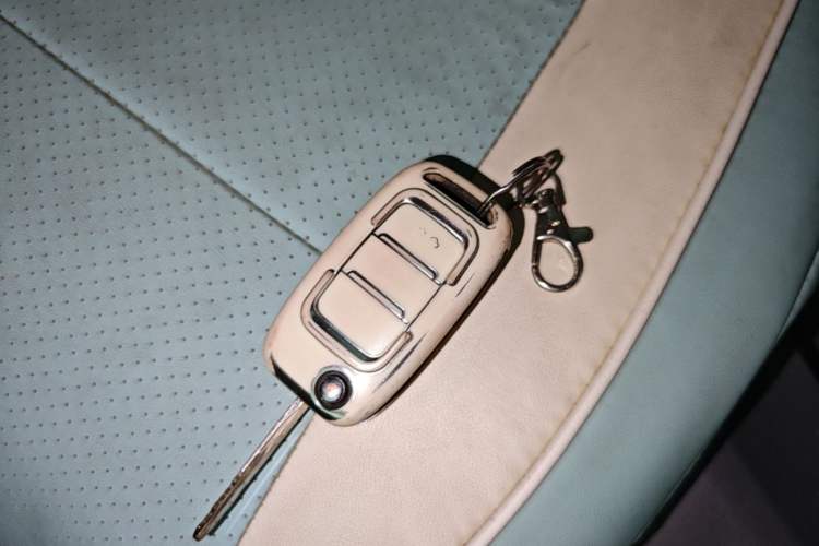 Used Dongfeng Fengon MINIEV 2022 Candy-Style Bubble Gum Vehicle Key