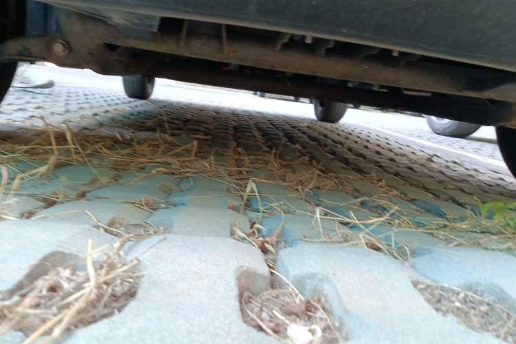 Used Dongfeng Fengon MINIEV 2022 Candy Edition Half-Sugar Chassis Front