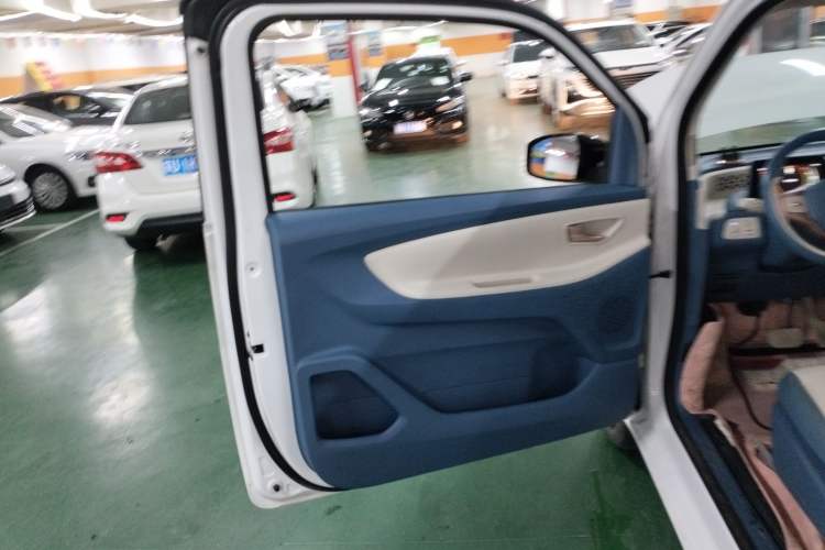 Used Dongfeng Fengon MINIEV 2022 Candy Edition Lightly Sweeted Left Front Door Interior