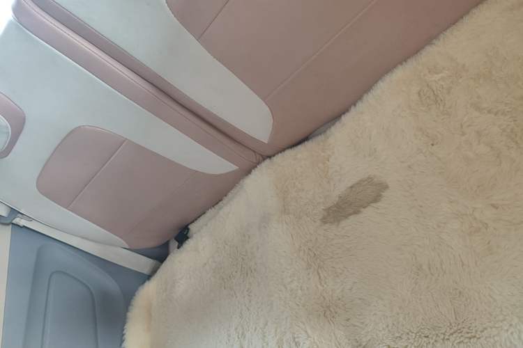 Used Dongfeng Fengon MINIEV 2022 Candy-Style Lollipop Left Rear Seat