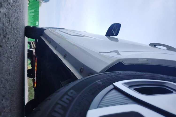 Used Dongfeng Fengon MINIEV 2022 Shishi Style Luxury Version Left Side Sill