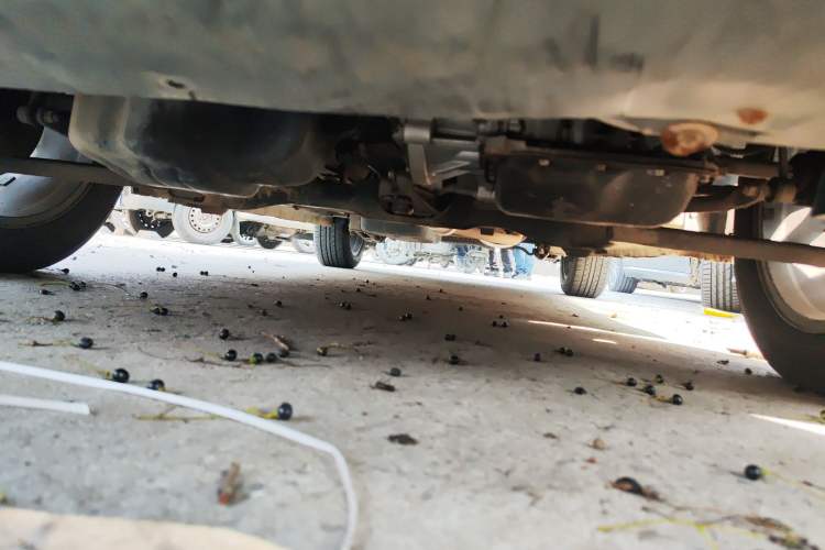 Used Dongfeng Fengon S560 2018 1.8L CVT Prestige Model Chassis Front