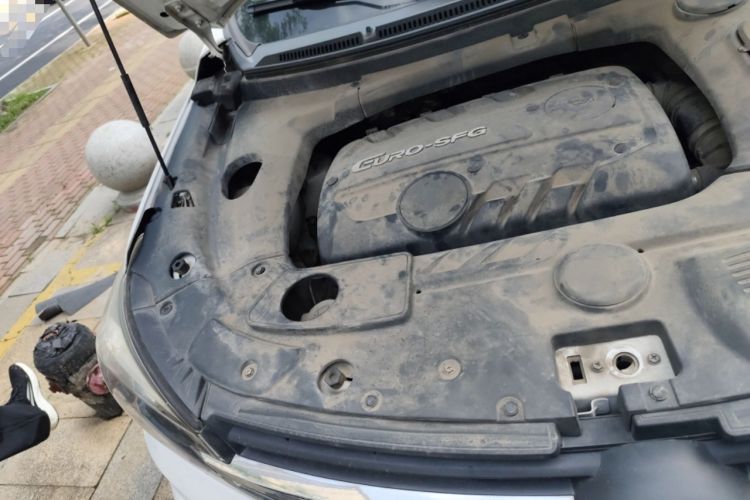 Used Dongfeng Fengon S560 2018 1.8L Manual Comfort 5-Seater China V Standard Engine Bay Right