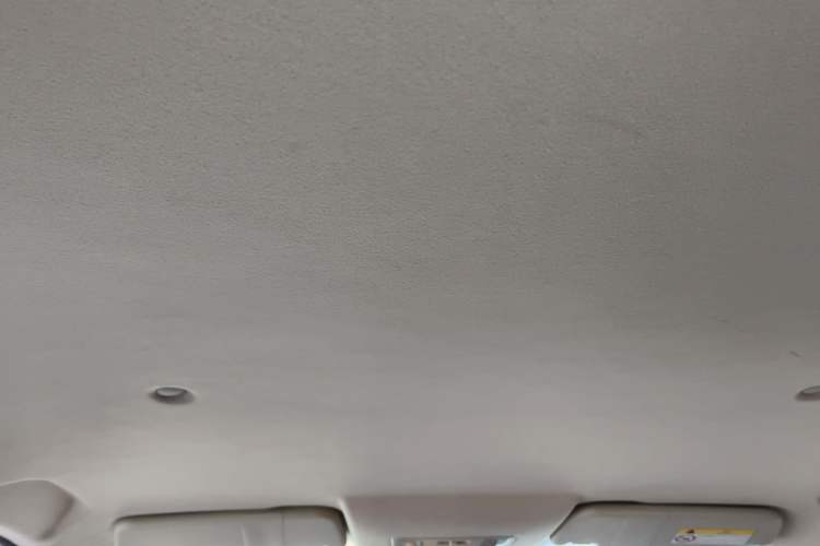 Used Dongfeng Fengon S560 2018 1.8L Manual Urban Model 7 Seats Headliner