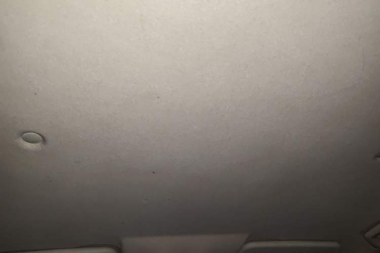 Used Dongfeng Fengon S560 2018 1.8L Manual Urban Model 7 Seats Headliner