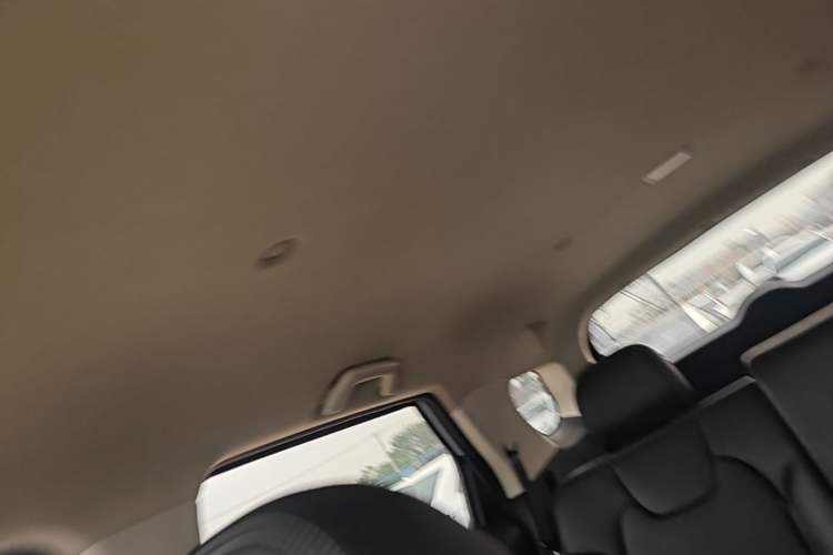 Used Dongfeng Fengon S560 2018 1.8L Manual Urban Model 7 Seats Headliner