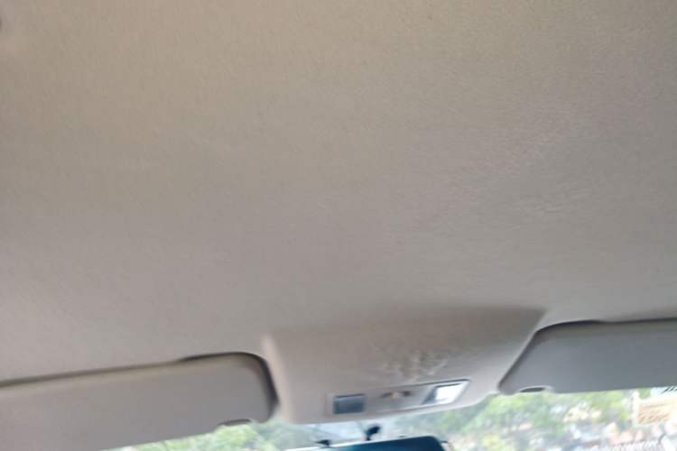 Used Dongfeng Fengon S560 2019 1.8L Manual Urban Model Headliner