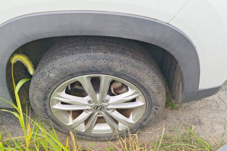 Used Dongfeng Fengon S560 2019 1.8L Manual Urban Model Exterior 7