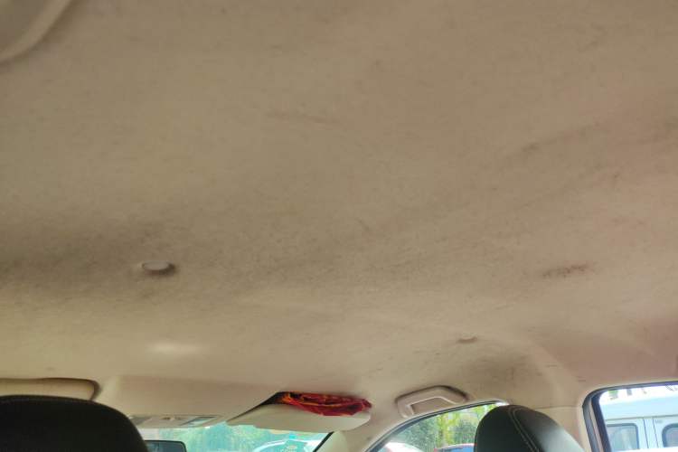 Used Dongfeng Fengon S560 2019 1.8L CVT Elite Model Headliner