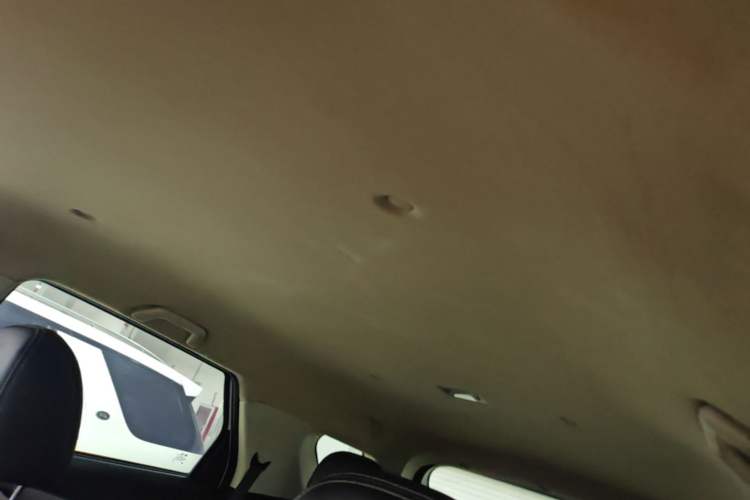 Used Dongfeng Fengon S560 2019 1.8L Manual Urban Model Headliner