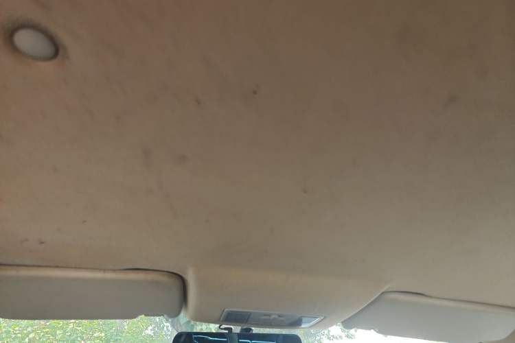 Used Dongfeng Fengon S560 2019 1.8L Manual Urban Model Headliner