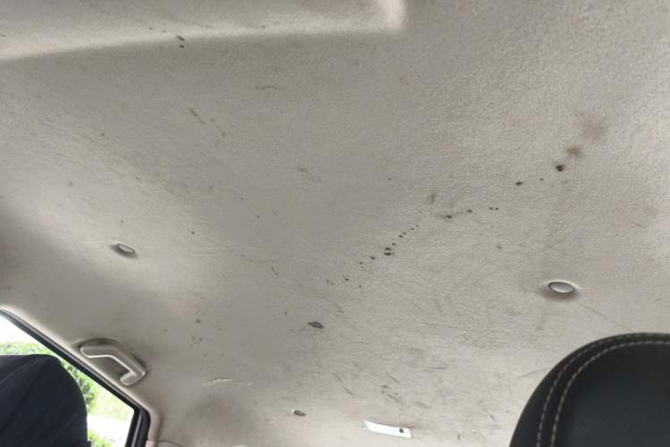 Used Dongfeng Fengon S560 2019 1.8L Manual Urban Model Headliner