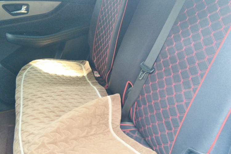 Used Dongfeng Fengon S560 2019 1.8L Manual Urban Model Left Rear Seat