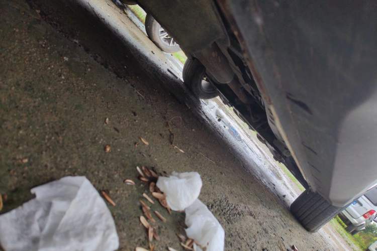 Used Dongfeng Fengon S560 2021 1.5T CVT Elite Version Chassis Rear Right