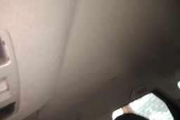 Thumbnail 21