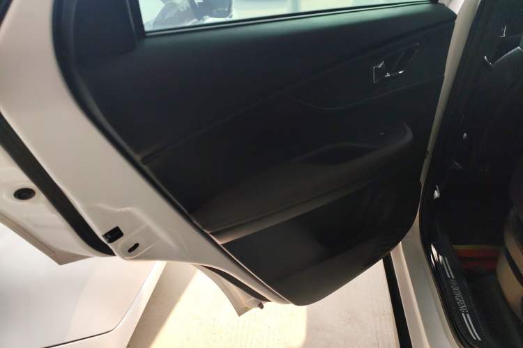 Used Dongfeng Fengon S560 2021 2.0L CVT Elite Version Left Rear Door Interior