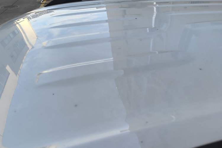 Used Dongfeng Fengon S560 2021 2.0L CVT Elite Version Roof