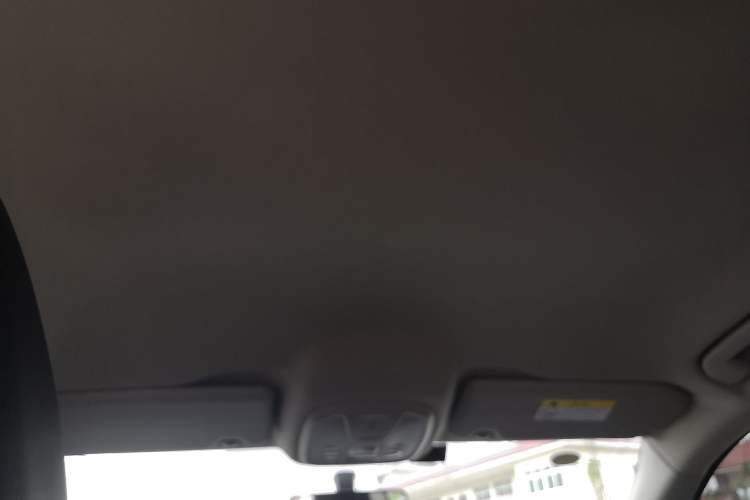 Used Dongfeng Fukang ES600 2022 T3 Custom Edition Headliner