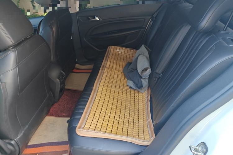 Used Dongfeng Fukang ES600 2022 Smart Drive Edition Left Rear Seat