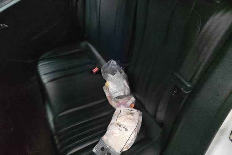 Used Dongfeng Fukang ES600 2022 T3 Custom Edition Left Rear Seat