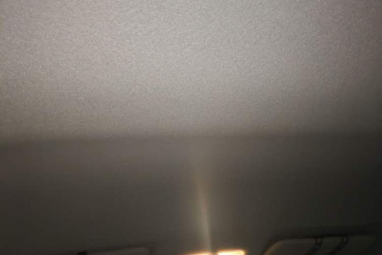 Used Dongfeng Junfeng ER30 2018 Base Model Headliner