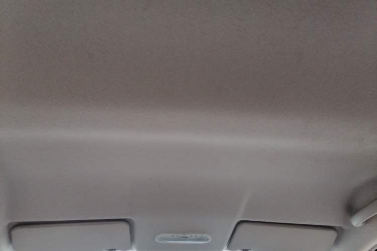 Used Dongfeng Junfeng ER30 2018 Base Model Headliner
