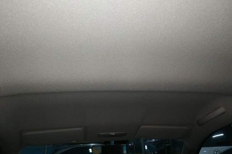 Used Dongfeng Junfeng ER30 2018 Base Model Headliner