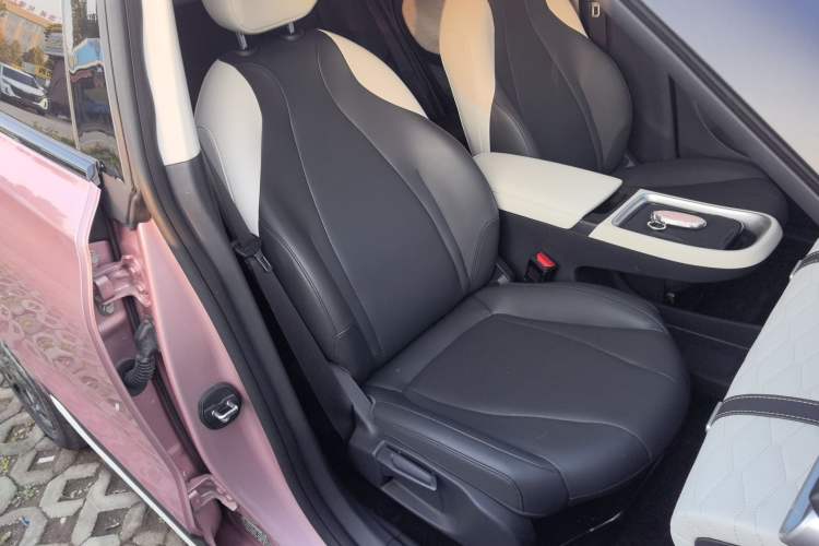 Used Dongfeng NAMMI 01 2024 New Edition 330 Plus Smart+ Right Front Seat