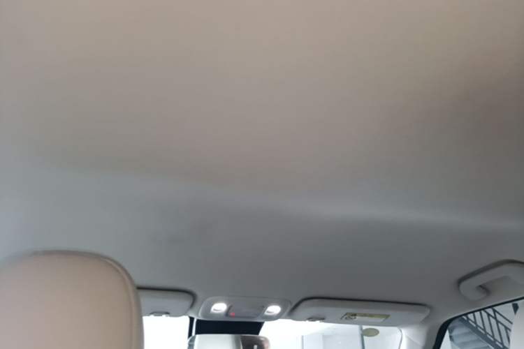 Used Dongfeng NAMMI 01 2024 430 Max Smart+ Headliner