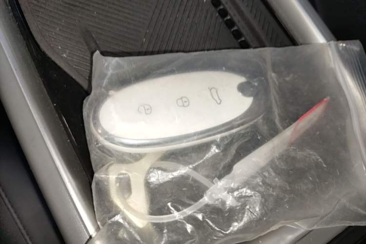 Used Dongfeng NAMMI 01 2024 430 Plus Interior 1
