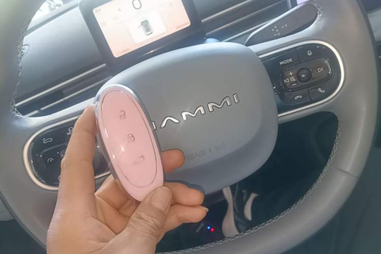 Used Dongfeng NAMMI 01 2024 330 Plus Interior 1